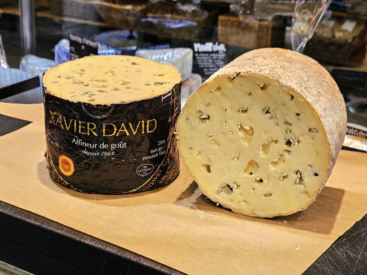 Beloved mould - Fourme d'Ambert