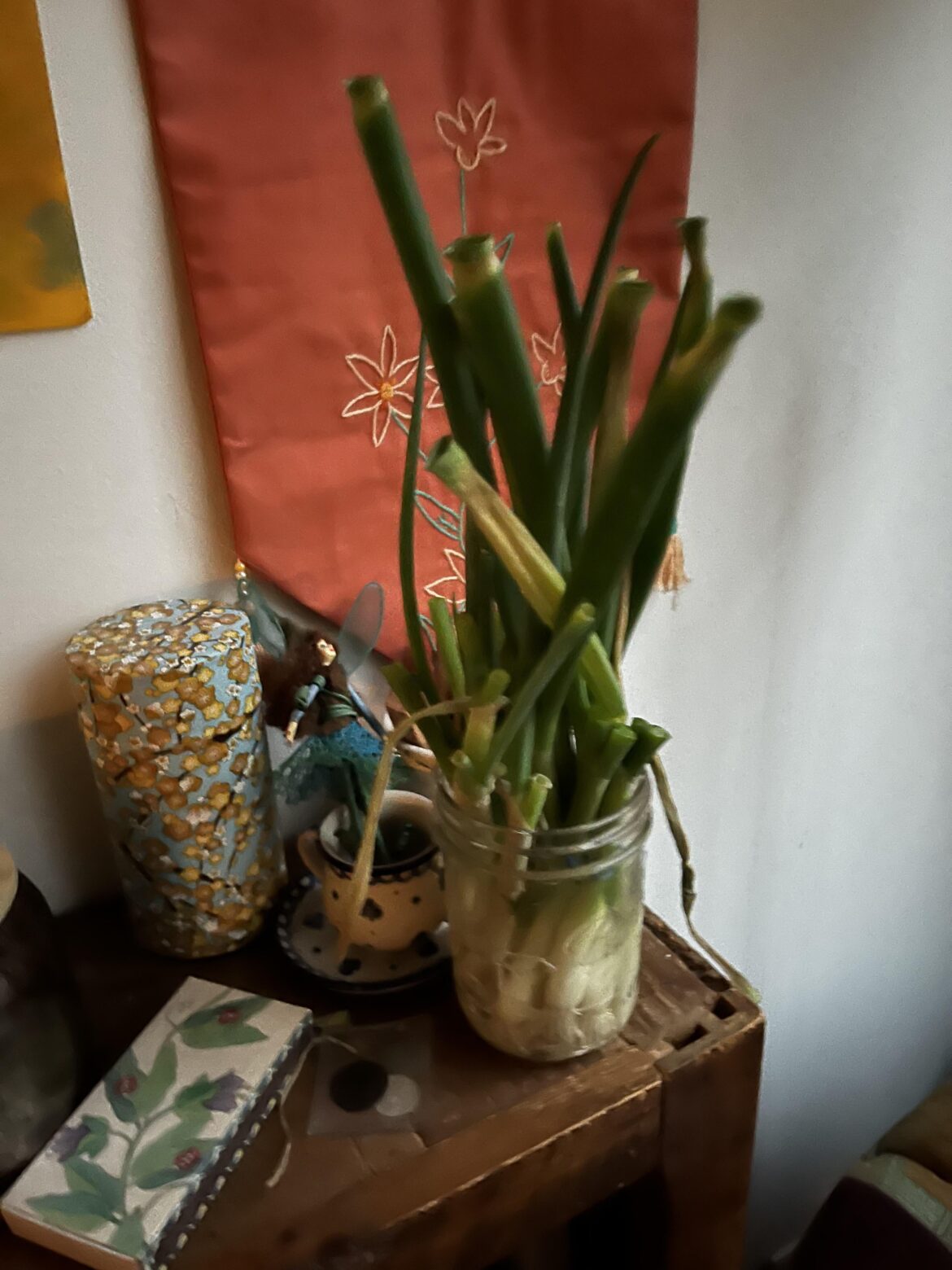 My ex gf left this funky plant at my place, instead of throwing it out I nursed it back to health and now it looks like this: