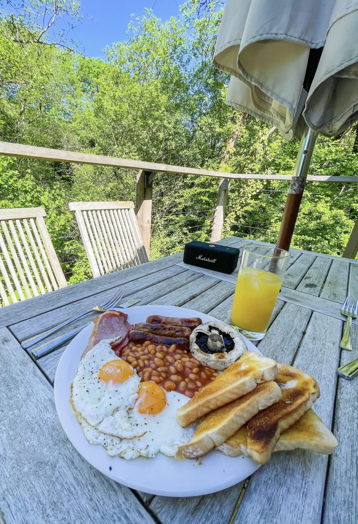 Cabin in the woods fry up