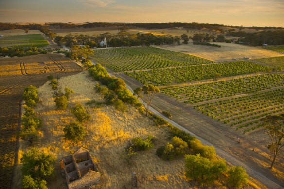 The Henschke Hill of Grace vineyard, in South Australia’s Eden Valley, was planted in the 1860s with pre-phylloxera shiraz cuttings from the Hermitage region of France.