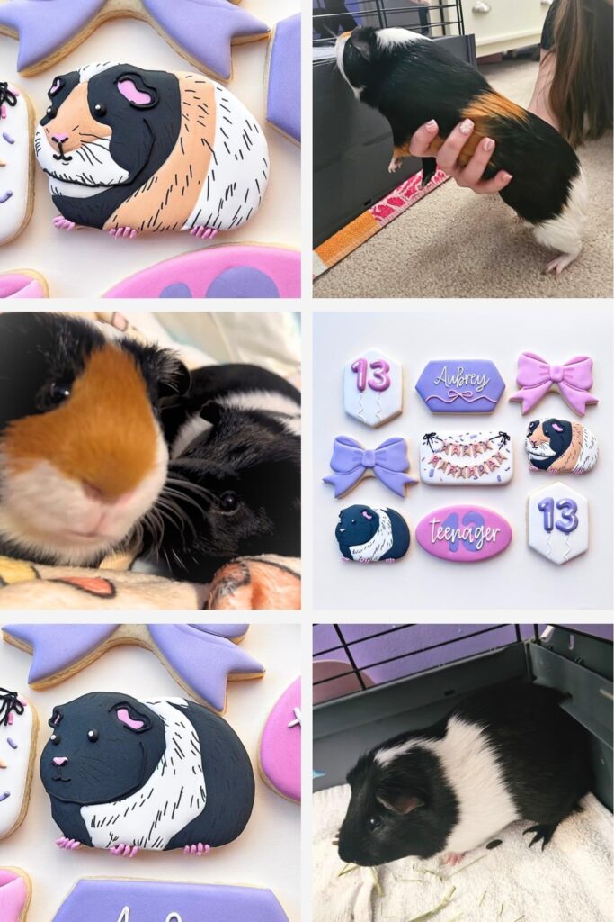 Guinea pigs & birthday cookies!