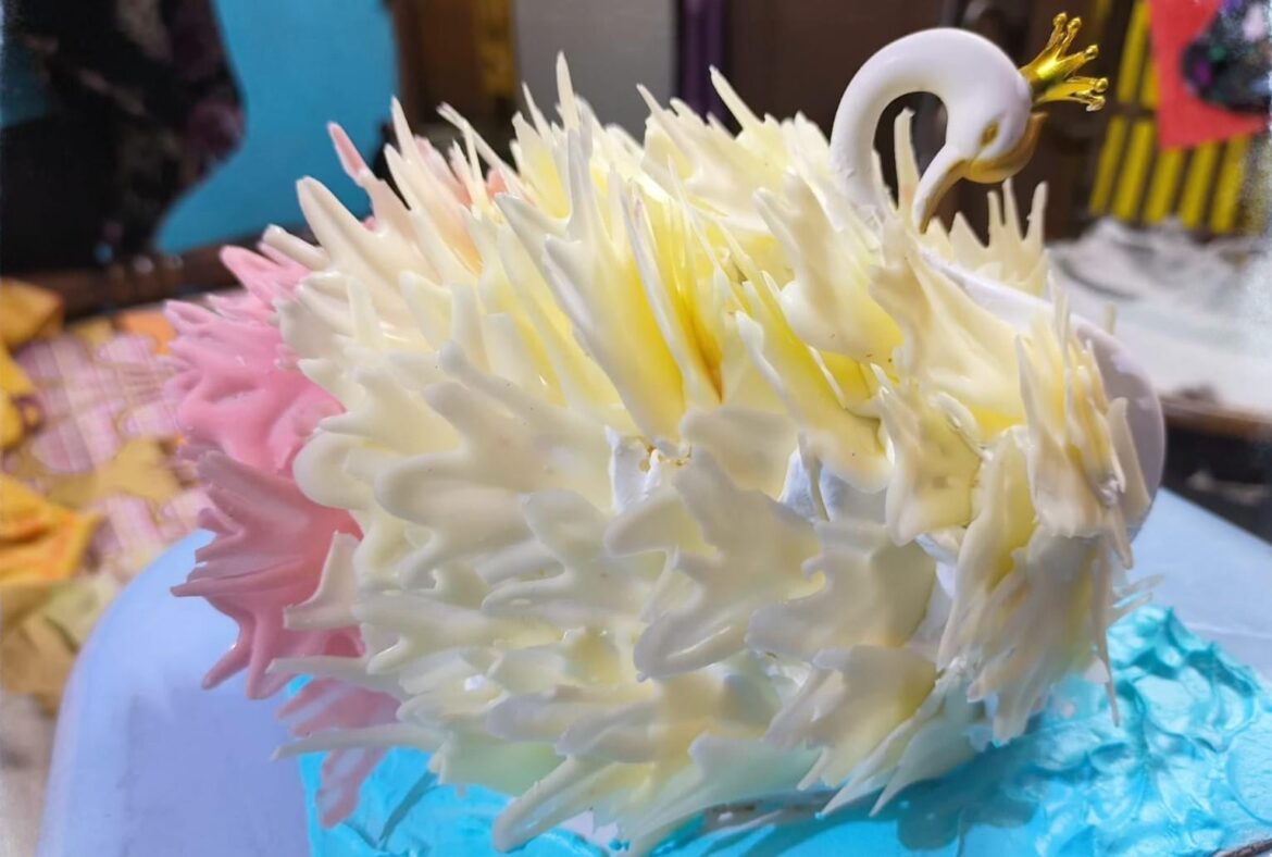 My sister's creativity never ceases to amaze me. This swan cake is just amazing!