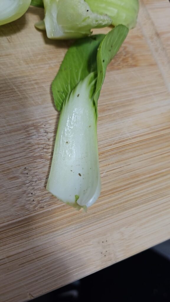 Literally traumatized