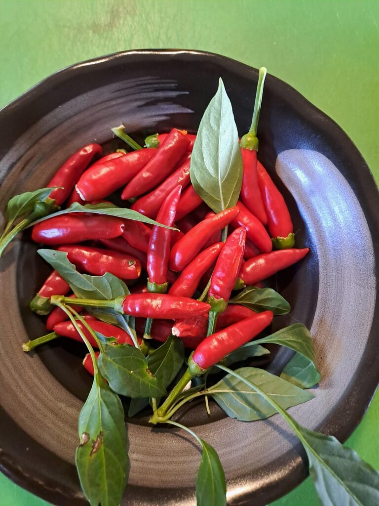 First time home made hot sauce - Melting my face off deliciously