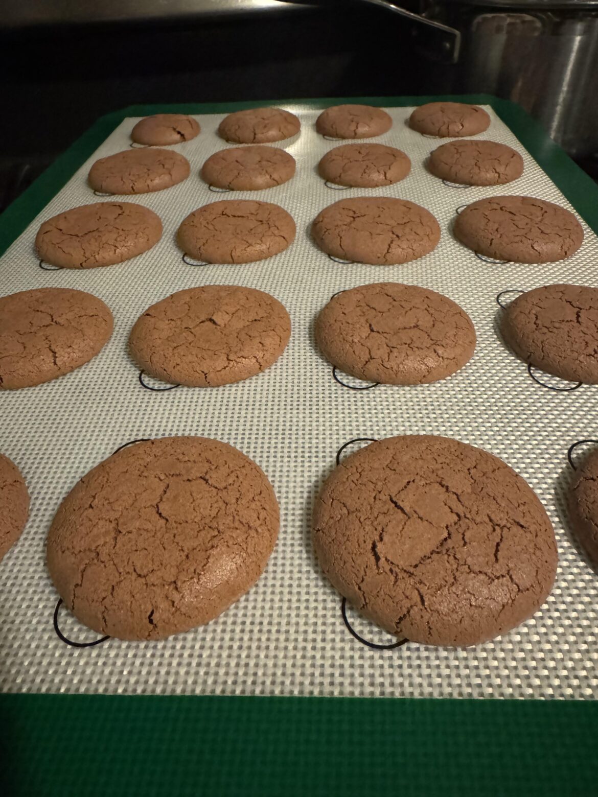 Macaron (contaminated with a bit of yolk)