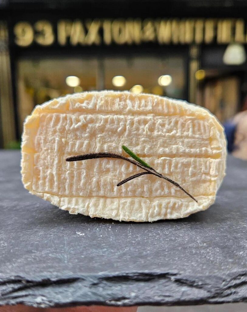 Day 1629 of posting images of cheese until I run out of cheese types: Saint Henri Romarin