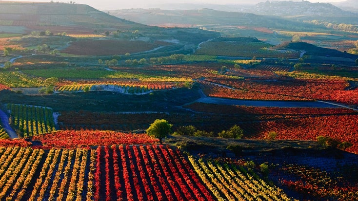 A dramatic aerial photo of Spain's winegrowing Rioja region.