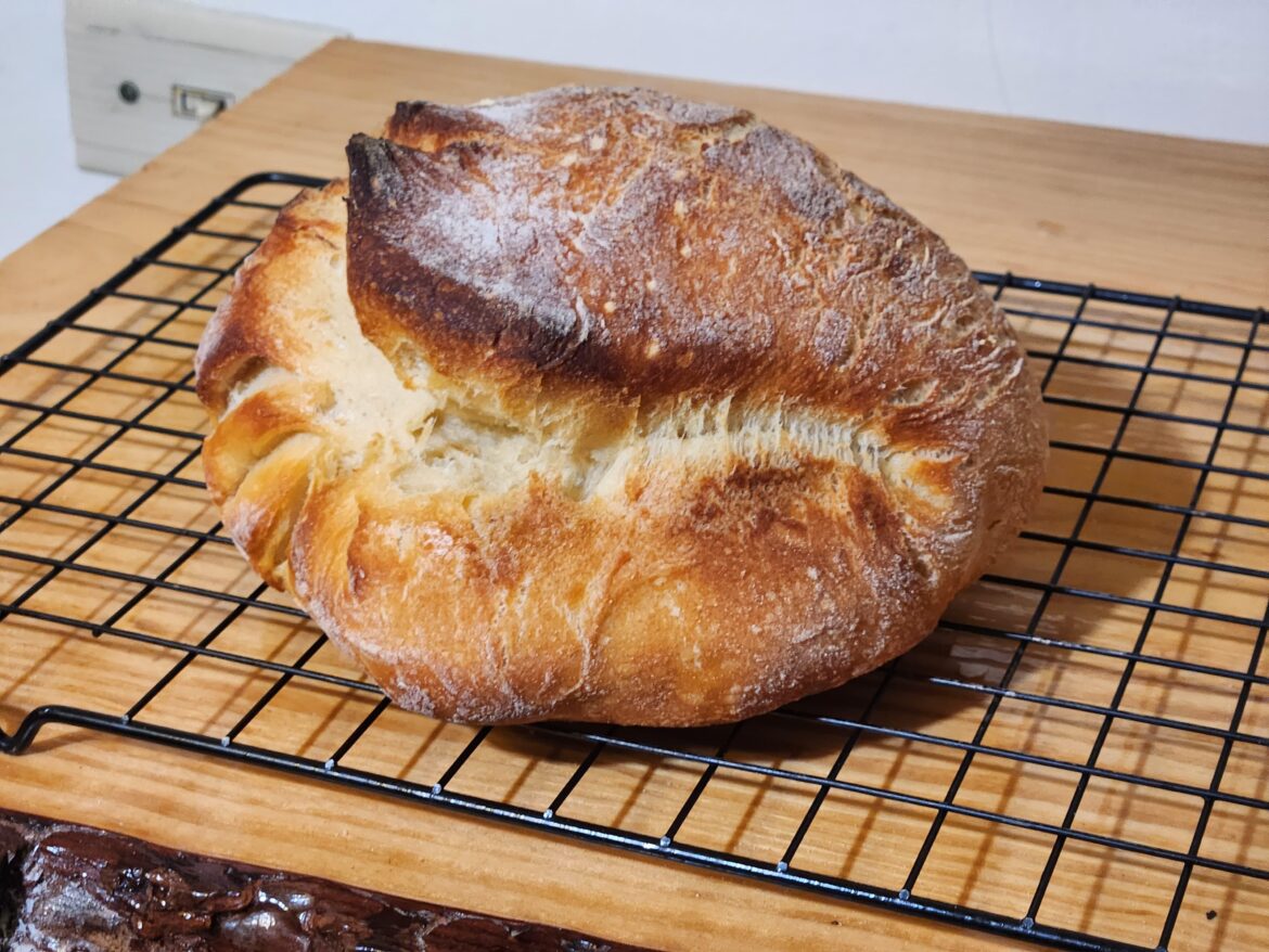 First attempt. A Pane di Altamura style bread, 100% Semolina