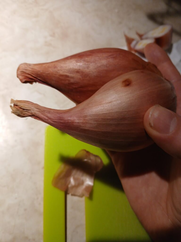 Shallots too old?