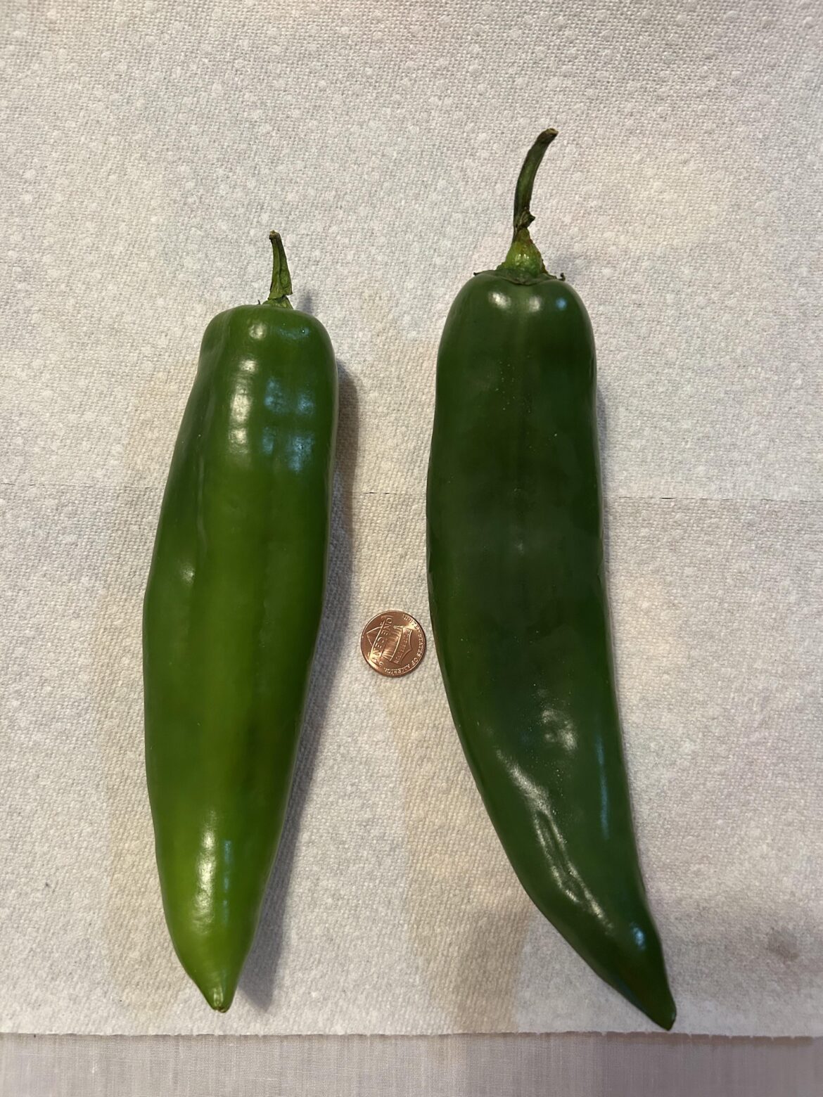What kind of pepper is this?