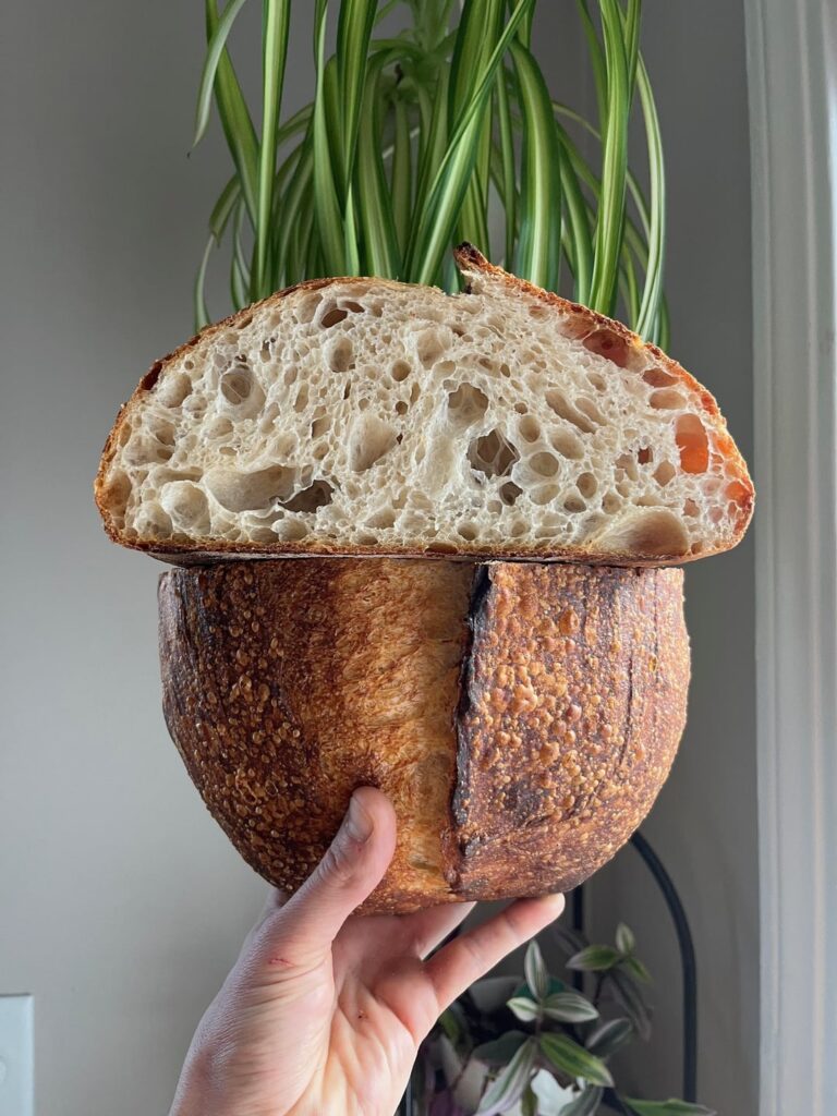 How it's Going VS How it Started (2 years of weekly sourdough)