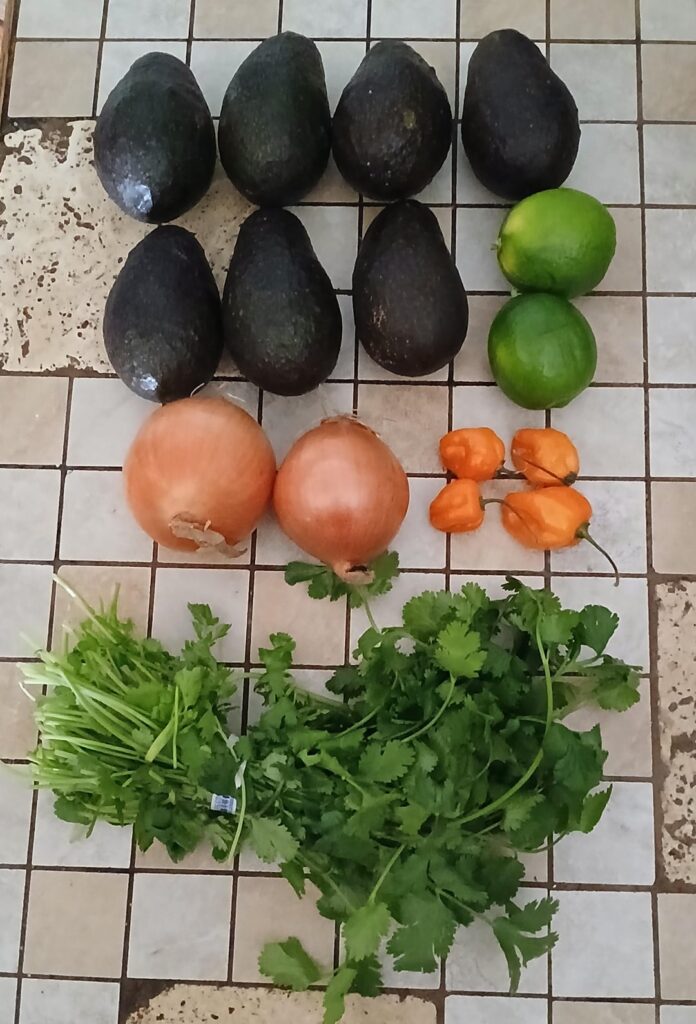 Made guacamole today