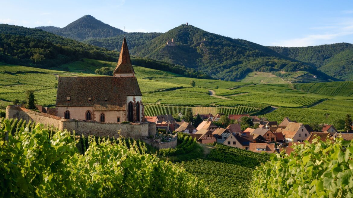French Wine Regions: Where to Go and What to Drink