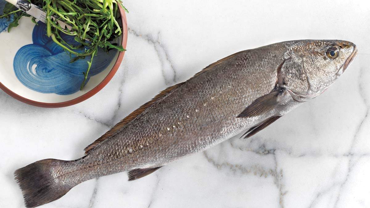 Avramar Whole Kranios Greek Stone Bass