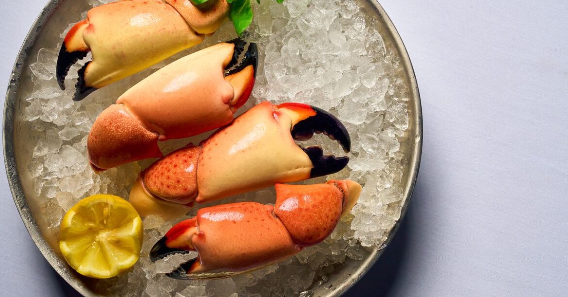 Miami’s Newest Restaurant Openings in February 2025