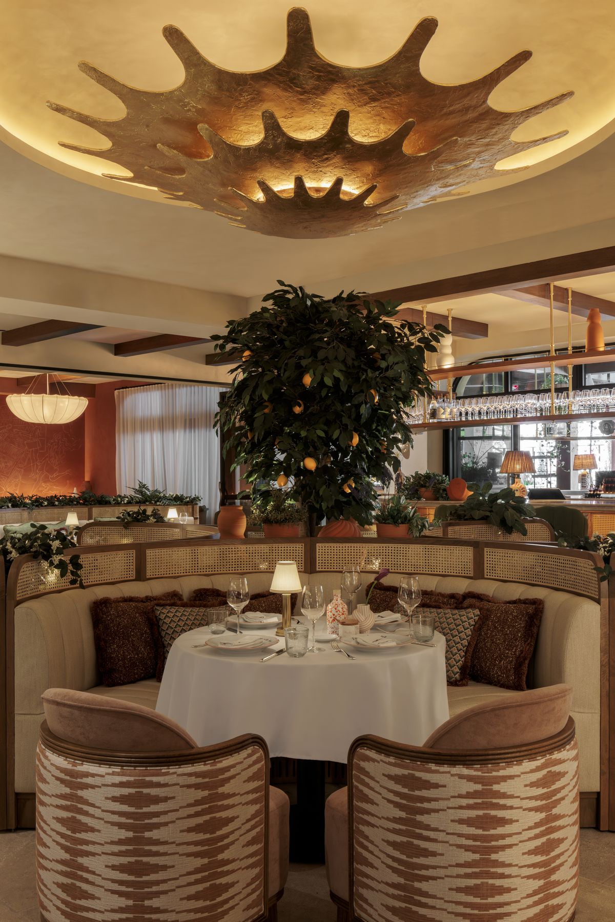 A lemon tree in the middle of a dining room.