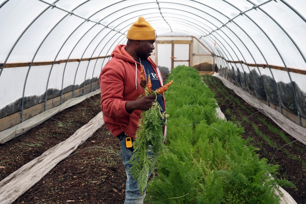 Expanding Good Food Purchasing Law would help Illinois farmers Expanding Good Food Purchasing Law would help Illinois farmers