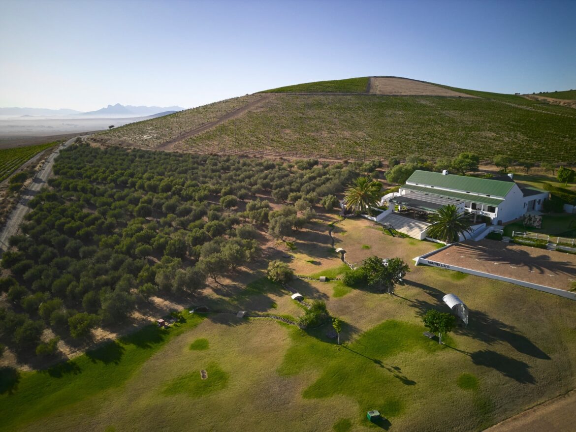 Tim James: The last half-century of German contributions to Cape wine