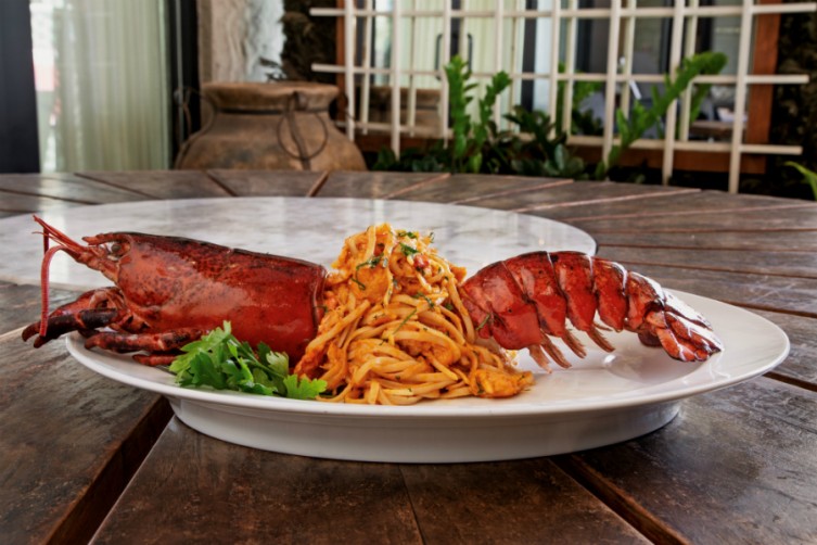 F - Astako-Makaronada (H)_PC_ Adam Frazier