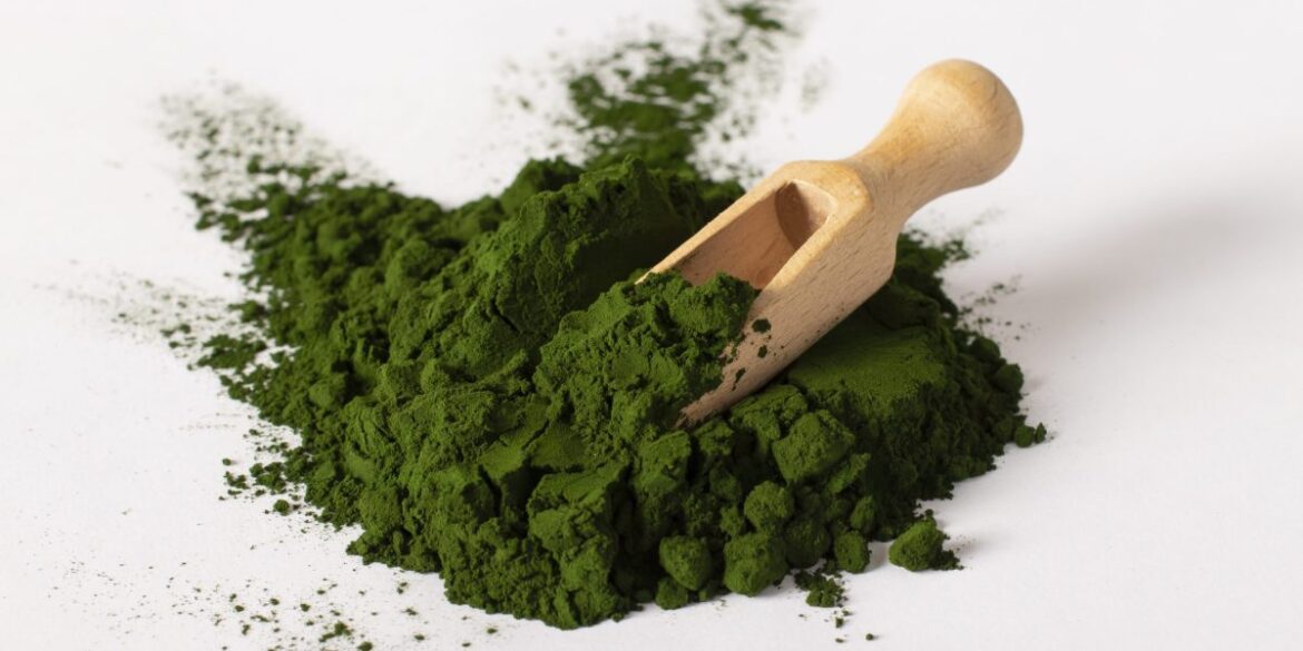 Is this dark green algae the hot new superfood? Is this dark green algae the hot new superfood?