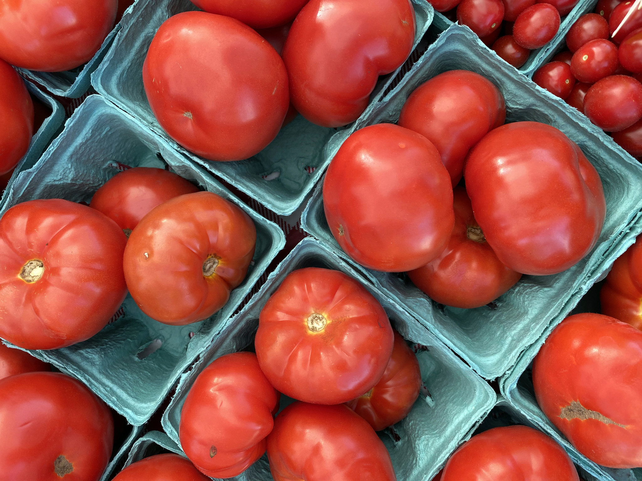 Examples of greenhouse tomatoes sold on Saturday by Los Rodriguez Farm of Eau Claire, Michigan. Images from the opening day of the Morton Grove French Market in Morton Grove on June 6, 2020 at 6140 Dempster St.