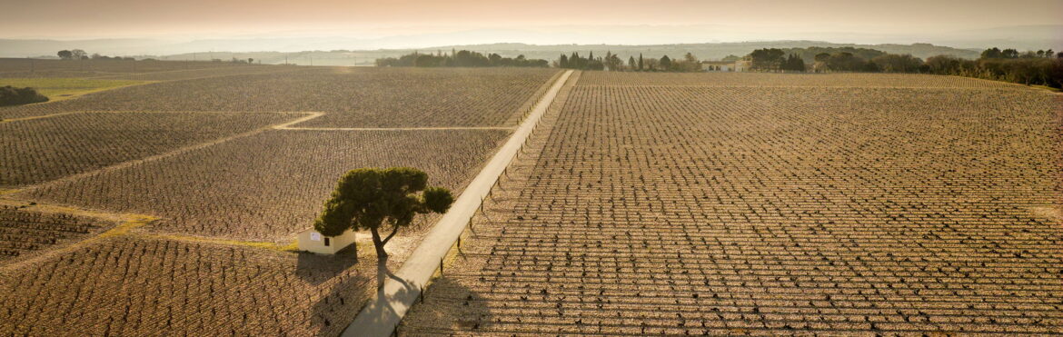 Top destinations in Southern France for serious food and wine seekers