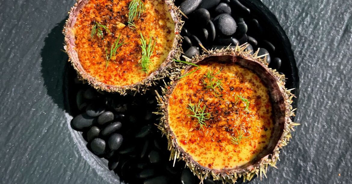 Boston’s Best Tasting Menus - Eater Boston