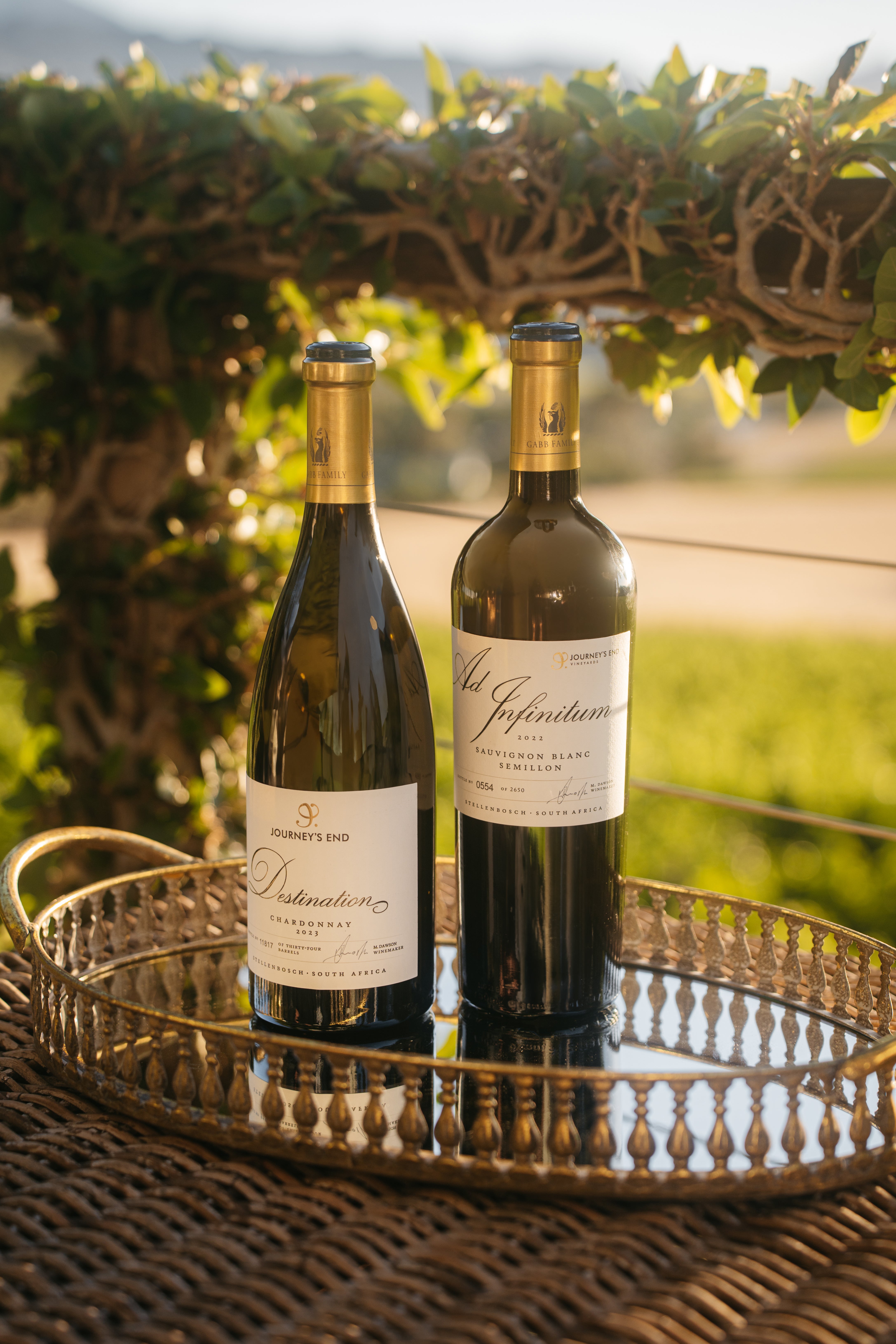 Burgundy and Bordeaux, but make it Stellenbosch – two bottles that challenge expectations