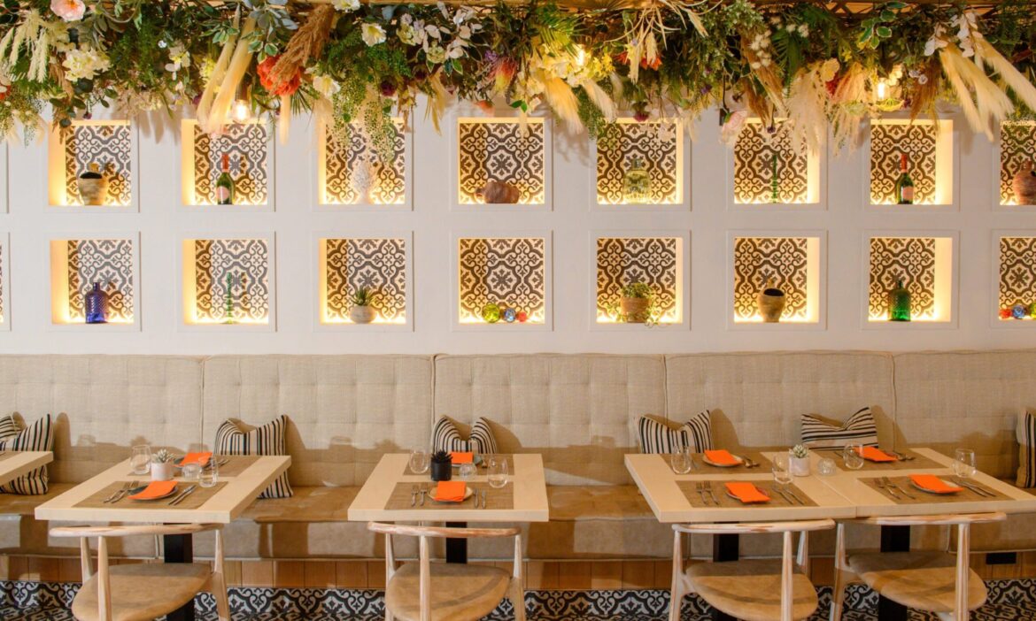 Was new Thistle Street restaurant Mediterranean worth the hype? Was new Thistle Street restaurant Mediterranean worth the hype?