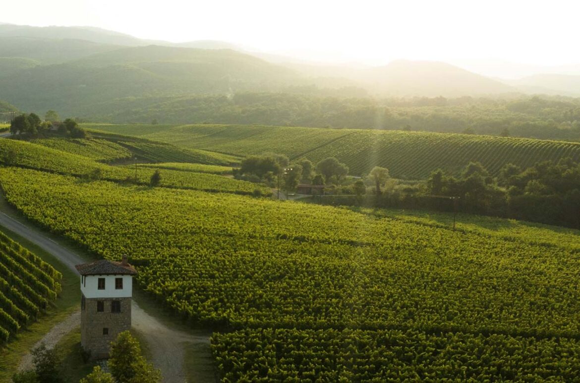 Kir-Yianni Estate: Leading the Greek wine renaissance