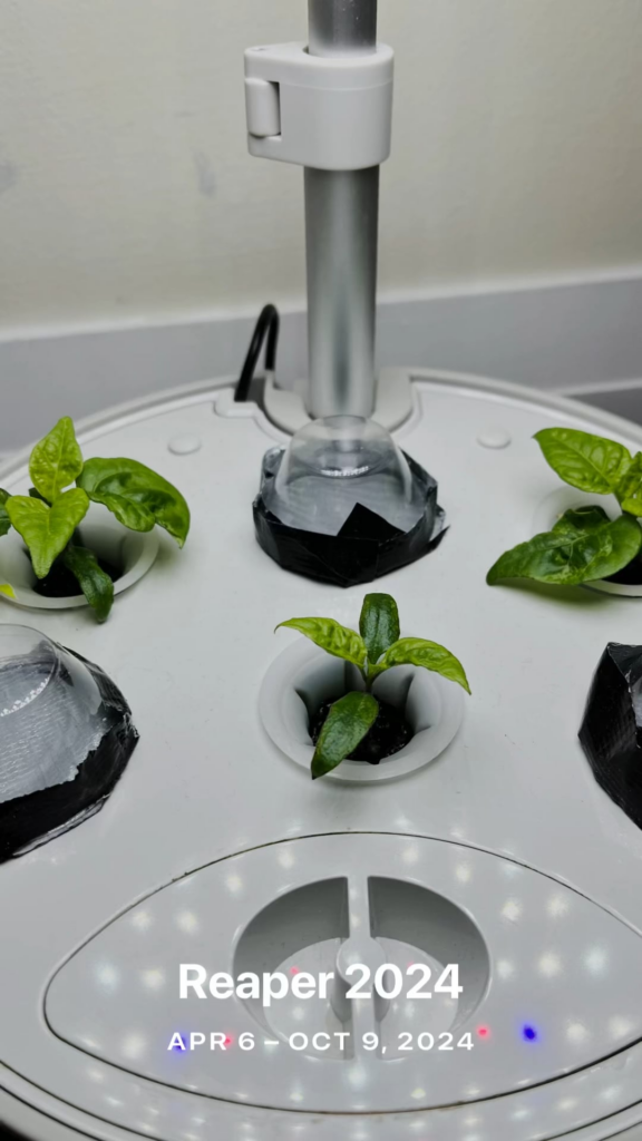 Last year’s Reaper journey…