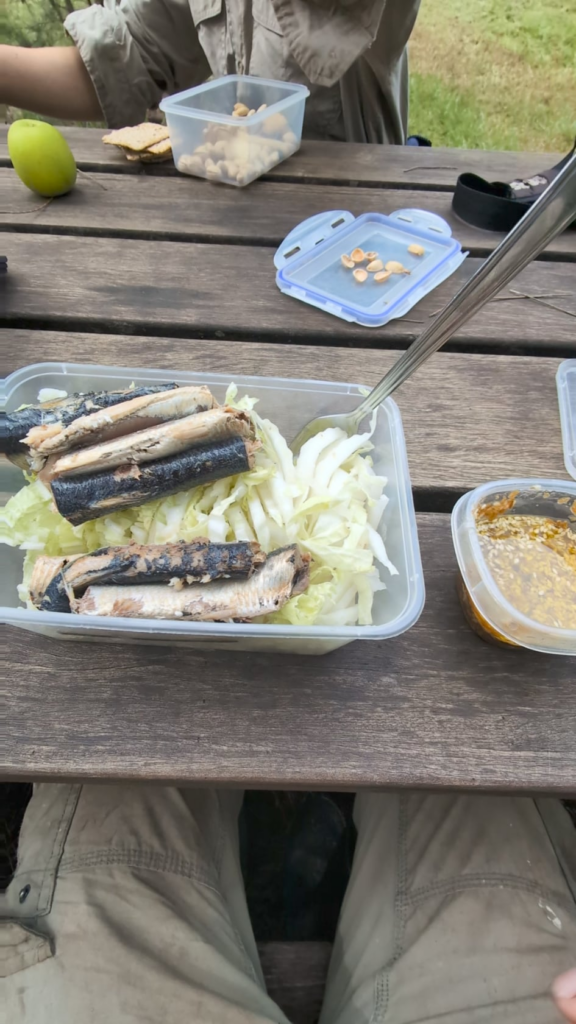 Packed canned sardines with my lunch