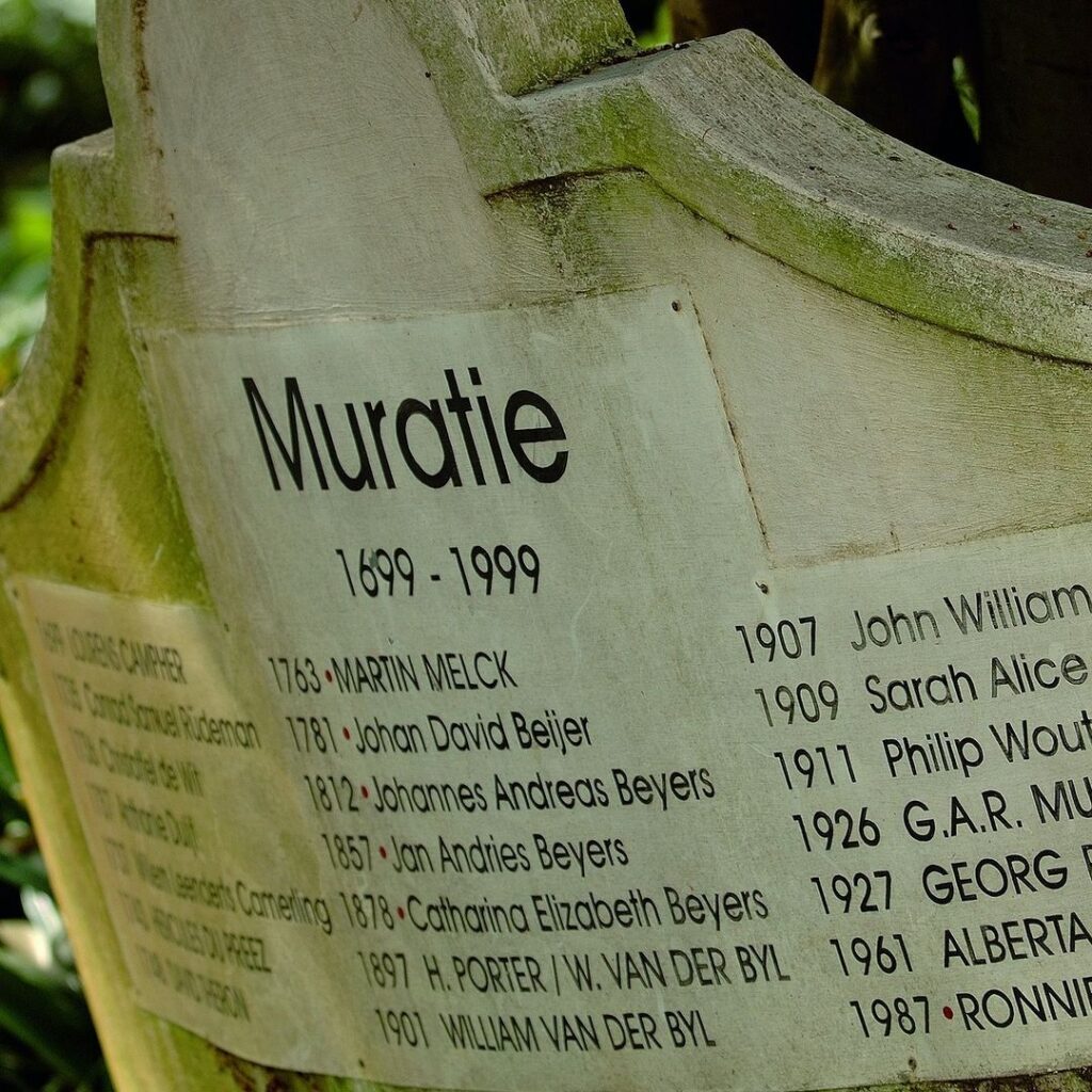 Tim James: The German contribution to Cape wine