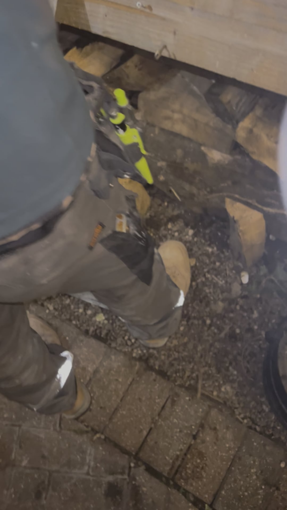 Aged Aberdeen Angus ribeye steaks on cast iron in the wood fired oven.  Delicious!!!