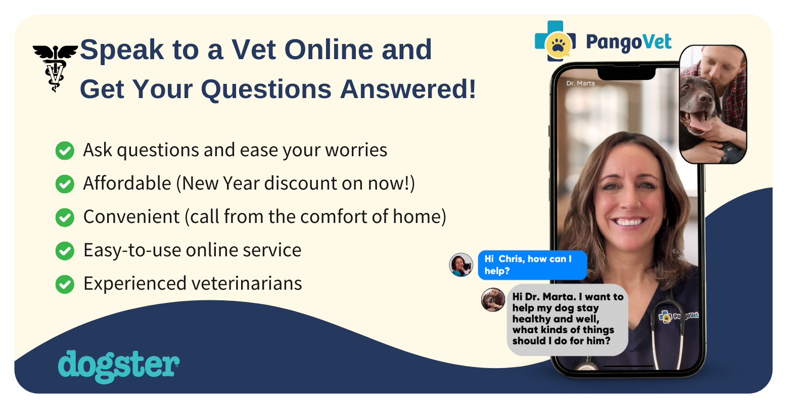 PangoVet_Mention-in-Content preventative wellness V3