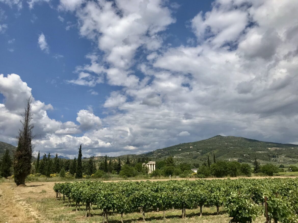 Sales of Greek wine treble