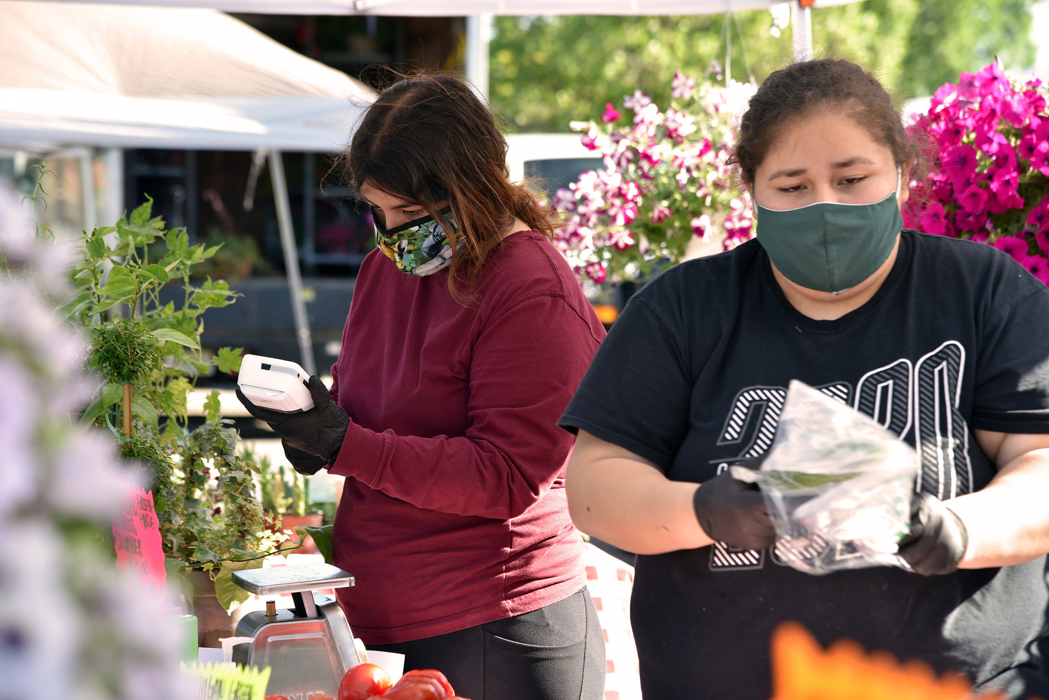 Center, Stephanie Rodriguez of Eau Claire, Michigan, rings up at sale at the Los Rodriguez Farm booth. Images from the opening day of the Morton Grove French Market in Morton Grove on June 6, 2020 at 6140 Dempster St.