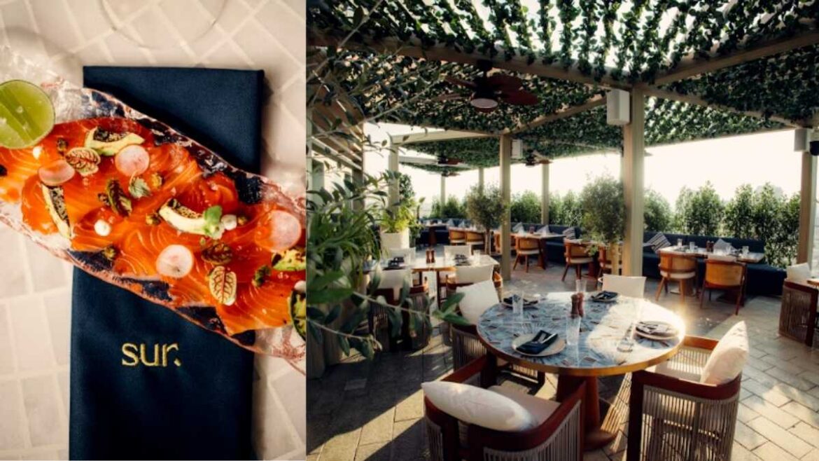 SUR Dubai Makes A Grand Debut At Uptown Dubai Serving Mediterranean Coastal Flavours & More! SUR Dubai Makes A Grand Debut At Uptown Dubai Serving Mediterranean Coastal Flavours & More!