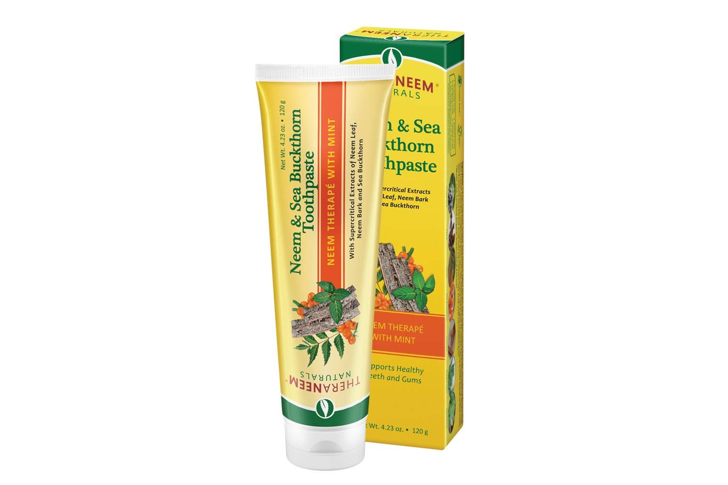 Amazon TheraNeem Neem Toothpaste