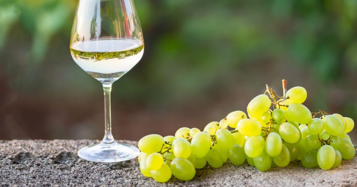 Outstanding quality marks 2025 wine grape harvest Outstanding quality marks 2025 wine grape harvest