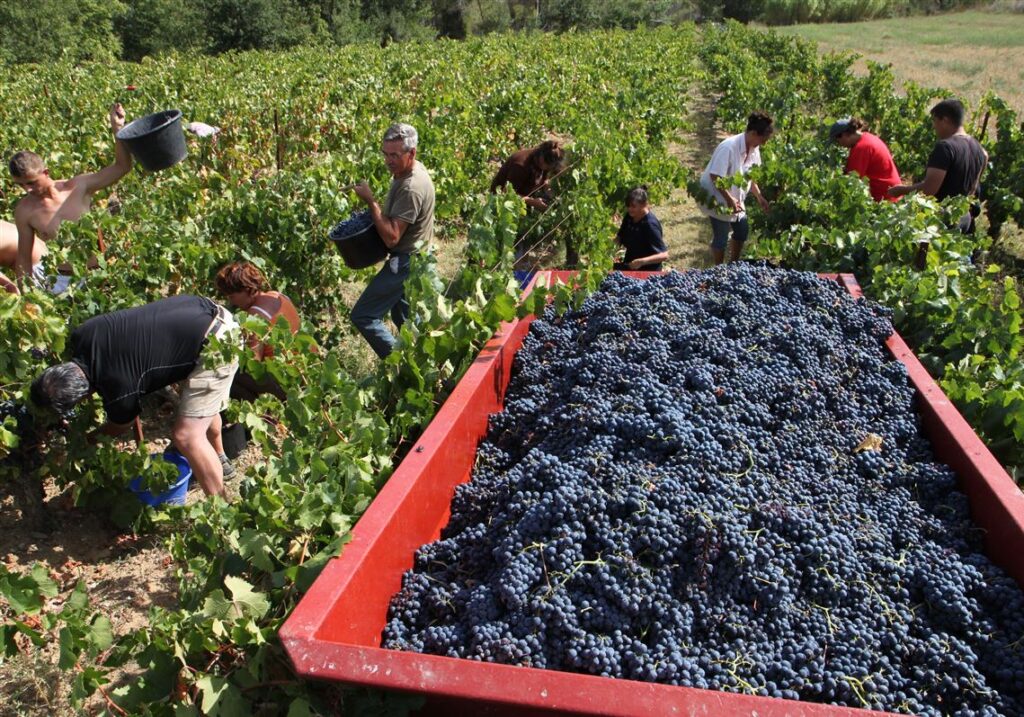 French connection: Moving to France for 6 months taught him about wine, food and belonging