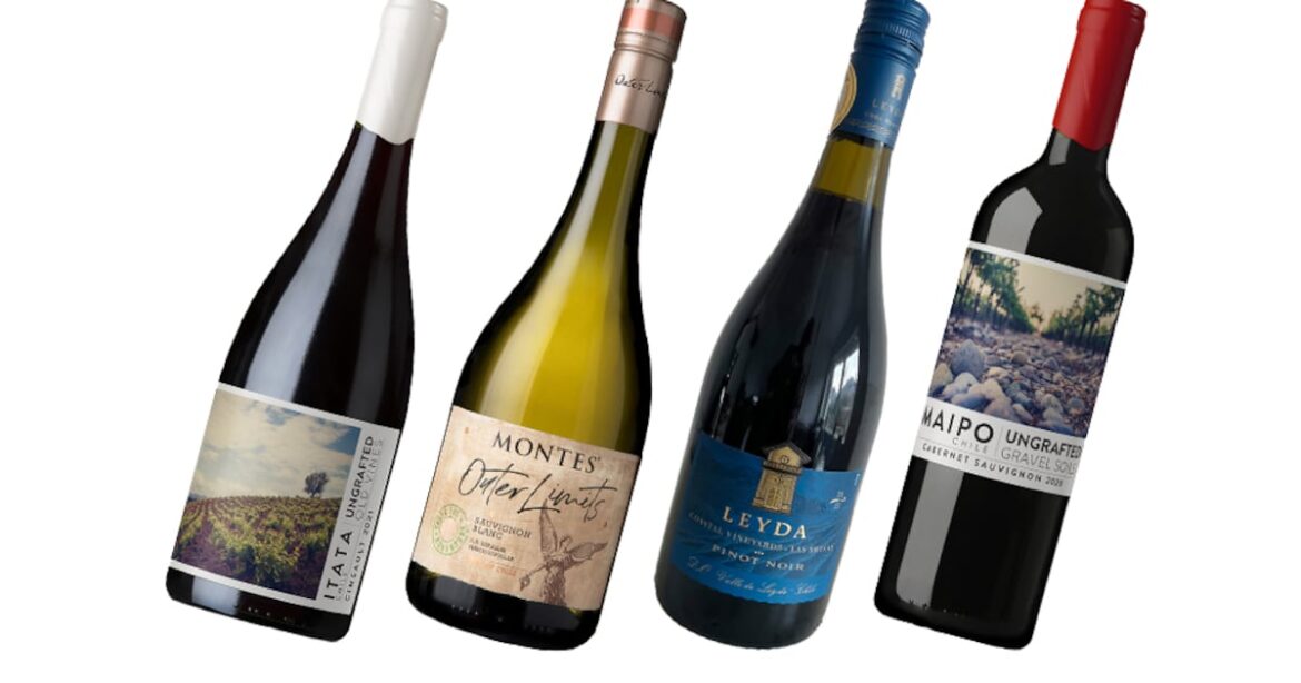 Don’t overlook Chile when it comes to premium wine – The Irish Times