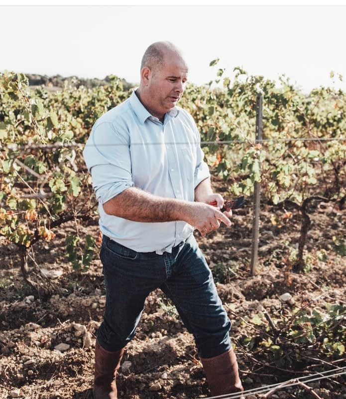 production-business-europe-meet-the-man-trying-to-transform-the-olive-sector-in-france-olive-oil-times