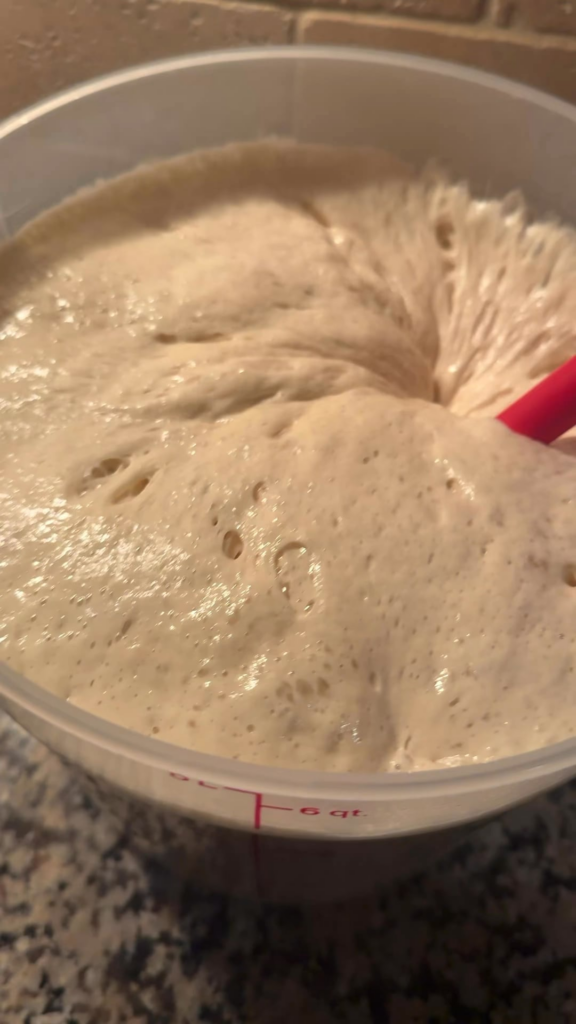How I Manage My Sourdough Starter for My MicroBakery