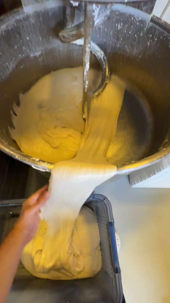 85% Hydration strong dough