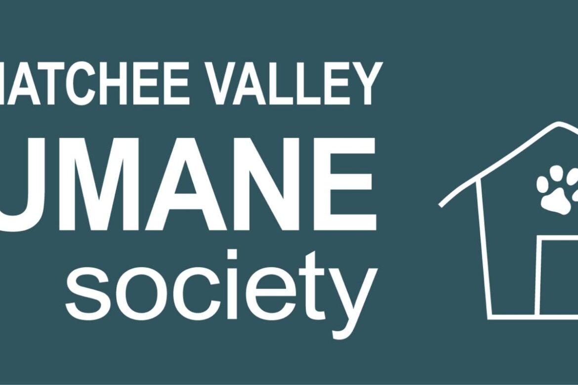 Wenatchee Valley Humane Society Hosts Spay and Neuter Clinic Wenatchee Valley Humane Society Hosts Spay and Neuter Clinic