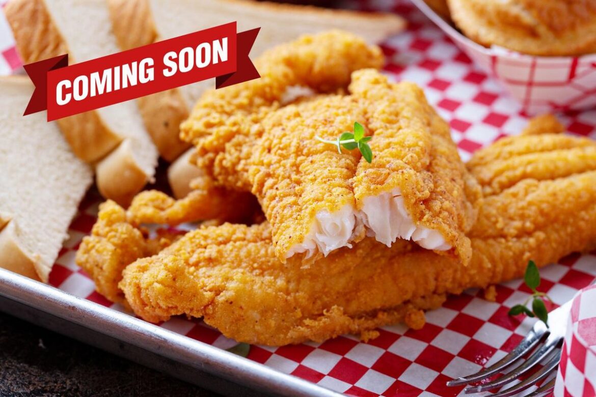 616 Batter Mix Comfort Food Restaurant Opening in Grand Rapids 616 Batter Mix Comfort Food Restaurant Opening in Grand Rapids