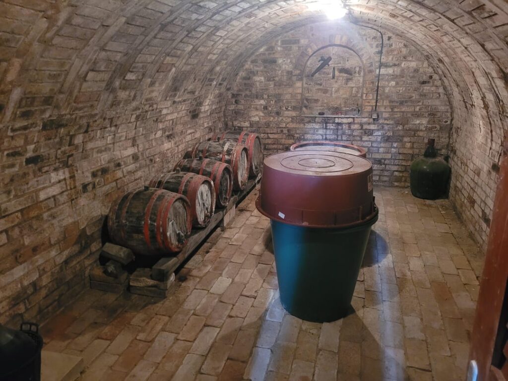 Anything to be done with this cellar before putting it to good use? Anything to be done with this cellar before putting it to good use?
