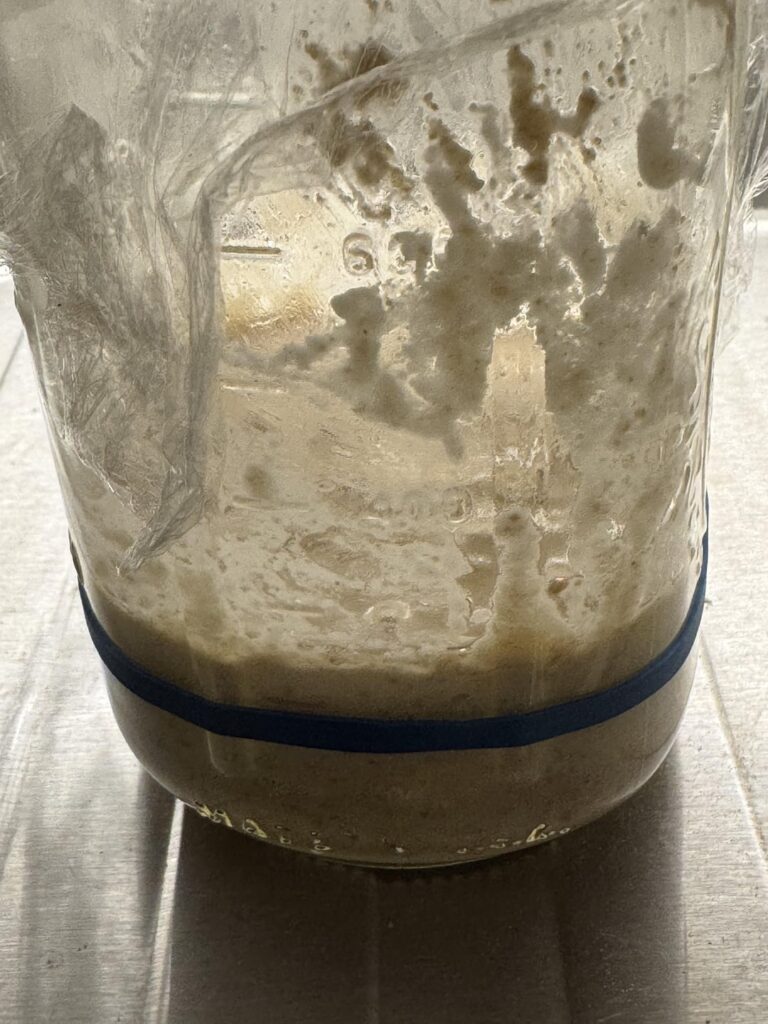 First time baking sourdough. I think I did it right?