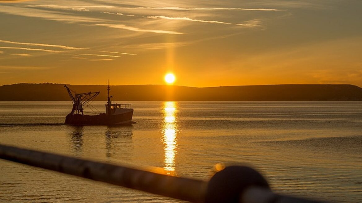 EU Management Plan Spurs Recovery of Western Mediterranean Fish Stocks